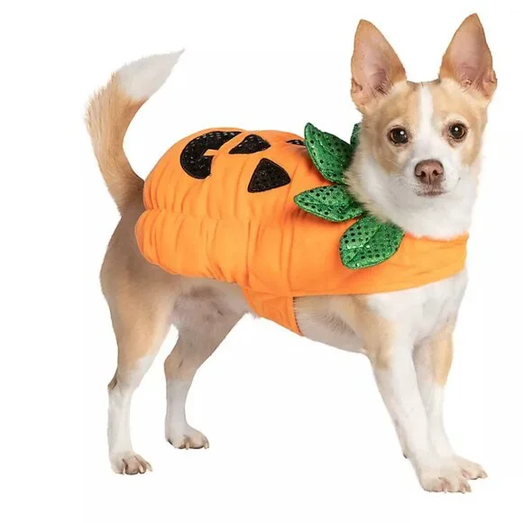 Thrills & Chills - Dog Pumpkin Halloween Costume - Size L - Picture 1 of 13